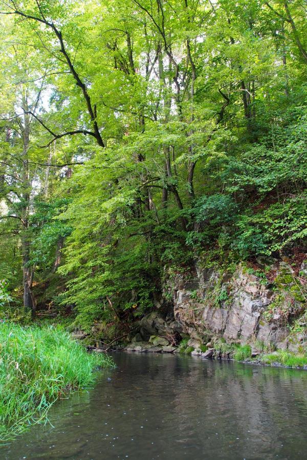 Camping Fox Cesky Krumlov Kájov Екстериор снимка